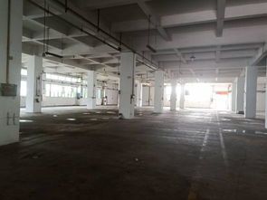 全新五層廠房招租 優(yōu)越位置，靈活空間，助您事業(yè)騰飛